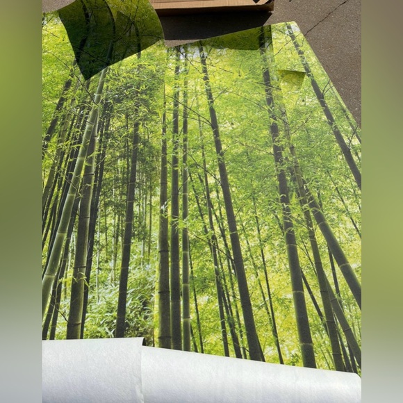 Bamboo Forest Wallpaper - Picture 7 of 7